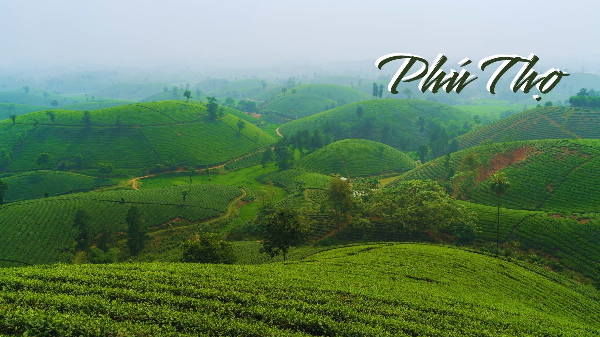 Cung cấp xút NaOH 99% tại Phú Thọ