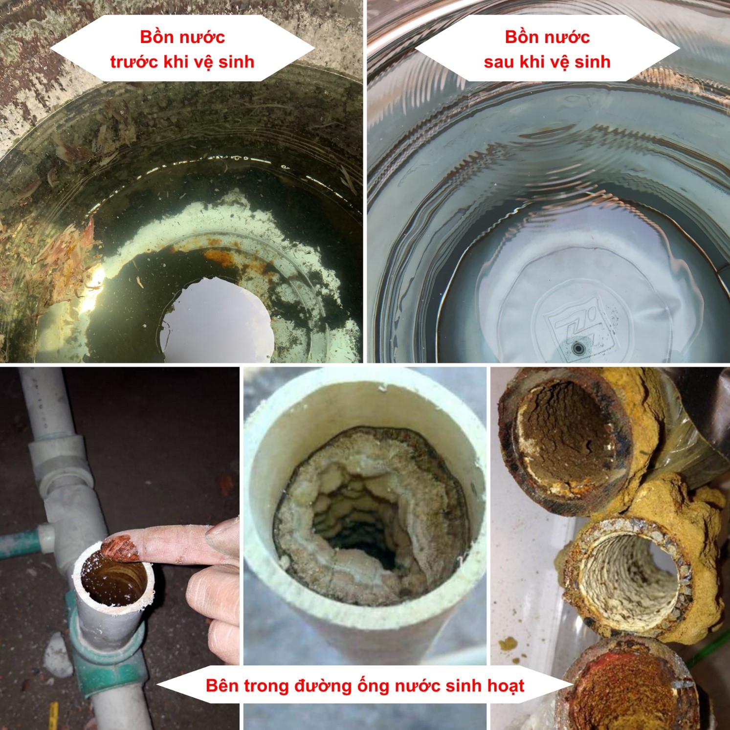 NaOH dùng để vệ sinh đường ống và bồn chứa