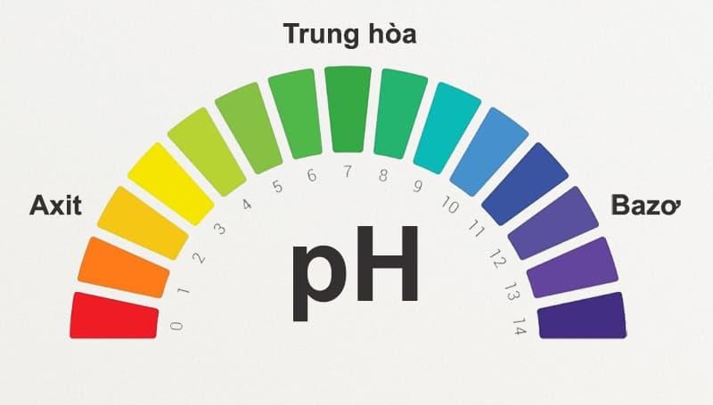 Axit Axetic và Axit Citric trong điều chỉnh pH và làm sạch