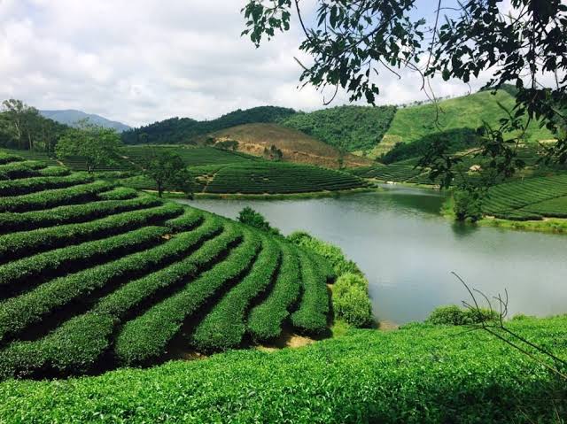 Công ty cung cấp Toluene tại Nghệ An cho nhà máy và cơ sở sản xuất