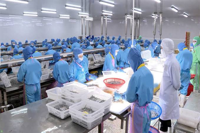 Xút NaOH trong thủy sản và chế biến thực phẩm