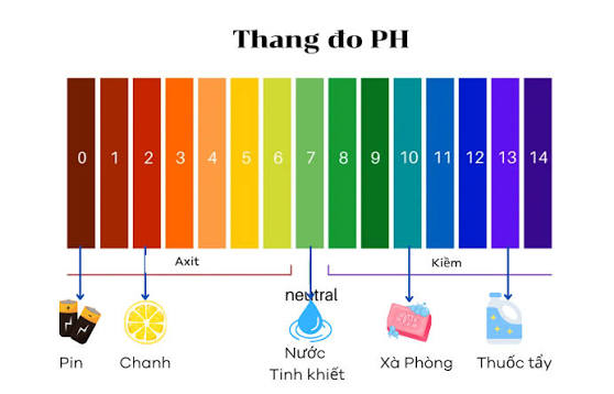 Axit HCl và chất giảm pH dạng bột: tiêu chí lựa chọn cho hệ thống nước