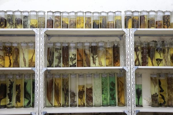 Formalin trong bảo quản mẫu công nghiệp và nghiên cứu: phạm vi sử dụng