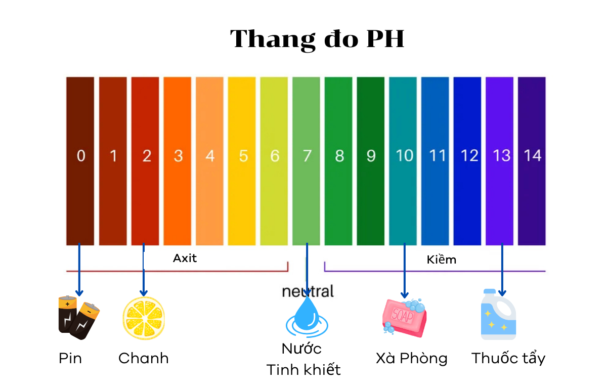 Ảnh hưởng của pH đến hiệu quả oxy hóa bằng KMnO4